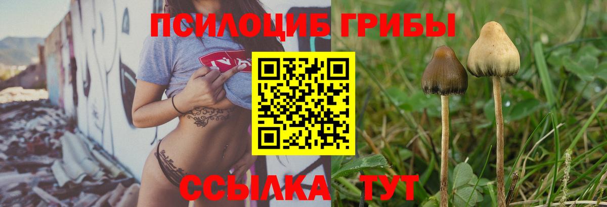 Галлюциногенные грибы Cubensis  Вход с VPN  Обь 