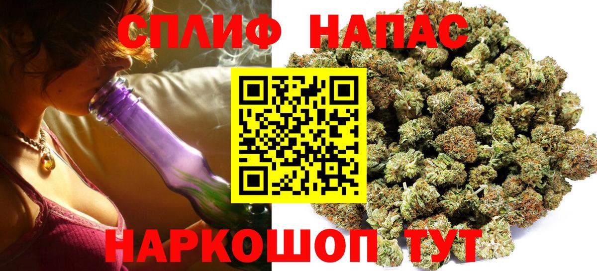 Бошки Шишки план Обь